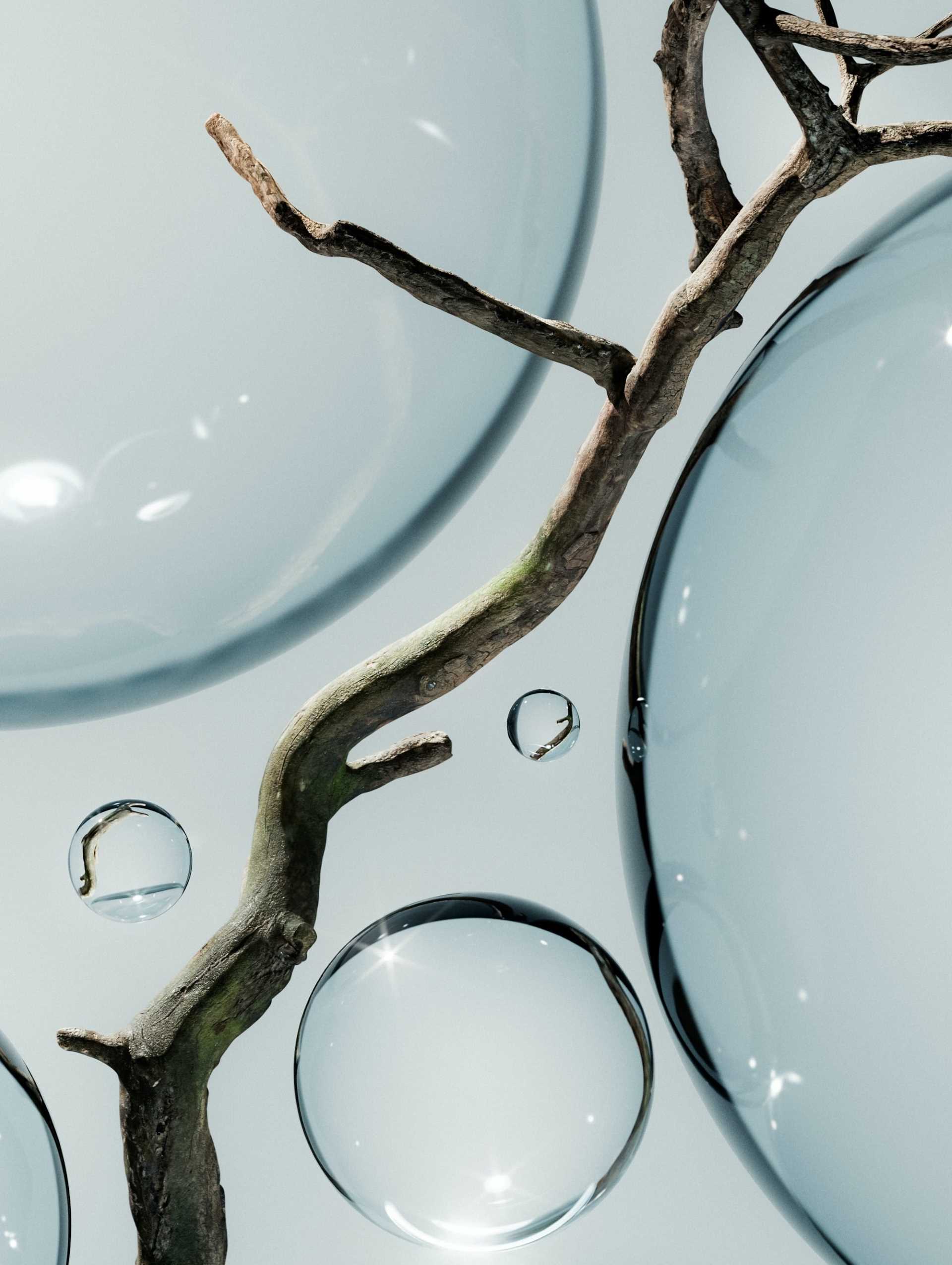 clear water bubbles around a branch against a light blue backdrop, giving a sense of cleanliness and hygiene
