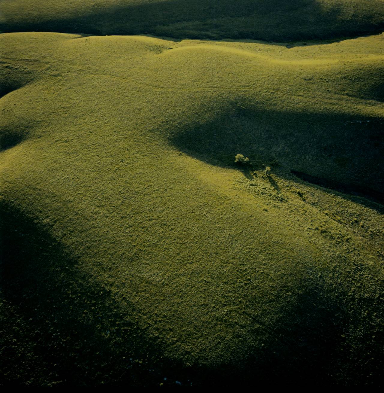 Expansive green landscape, illustrating sustainable practices in mattress textile production.